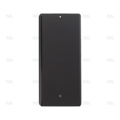 Huawei Honor Magic5 Lite (RMO-NX3), Honor X9a (RMO-NX1) Display And Digitizer With Frame Titanium Silver OEM